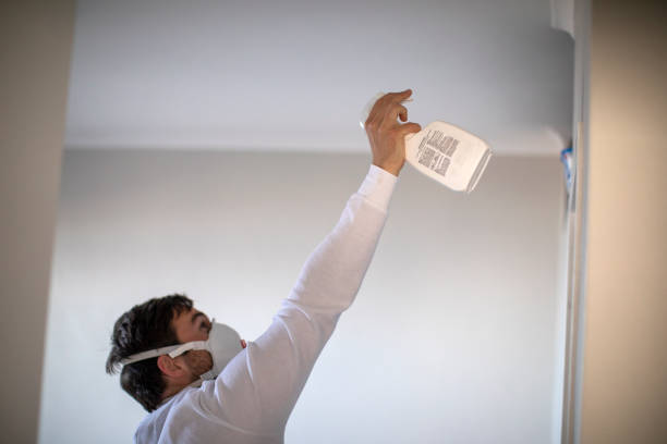Best Mold Removal Near Me  in Soulsbyville, CA