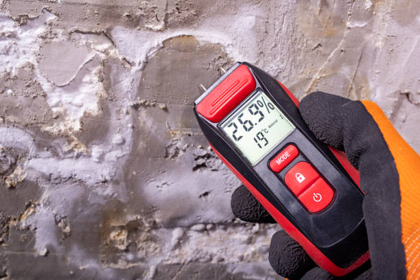 Best Professional Mold Removal  in Soulsbyville, CA