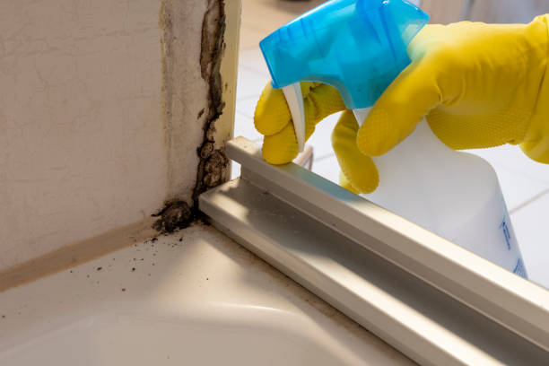 Best Crawl Space Mold Removal  in Soulsbyville, CA