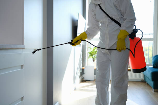 Best Mold Cleaning Services  in Soulsbyville, CA