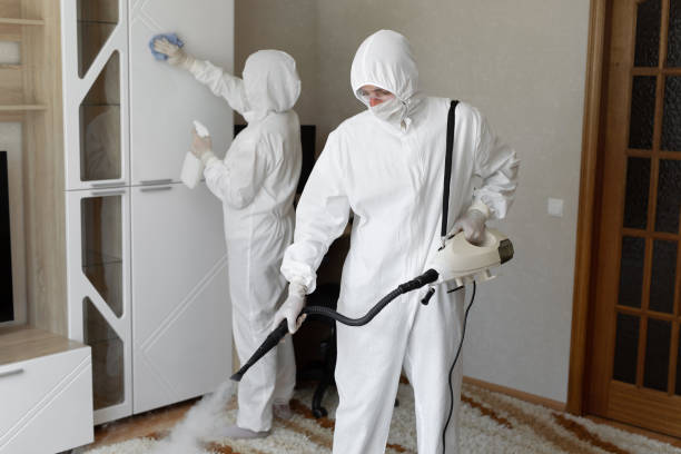 Water Damage Restoration in Soulsbyville, CA