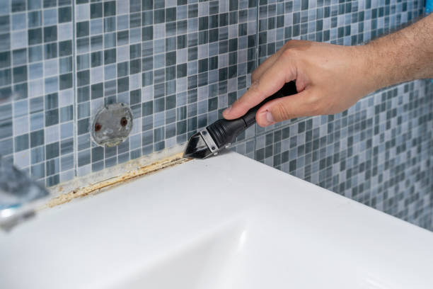 Best Attic Mold Removal  in Soulsbyville, CA