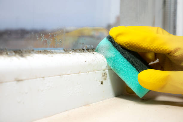 Soulsbyville, CA Mold Removal Company